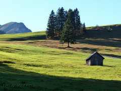 Herbststimmung am Oberjoch