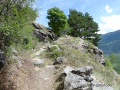 Bergsteig am Sonnenhang